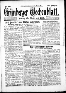 Grünberger Wochenblatt: Zeitung für Stadt und Land, No. 256. (30. Oktober 1928)