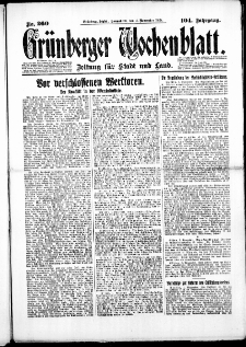 Grünberger Wochenblatt: Zeitung für Stadt und Land, No. 260. (3. November 1928)