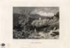 Ruine Nimmersatt / Ruiny Płoniny