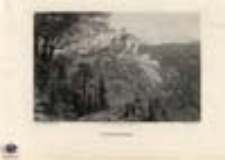 Fürstenstein / Książ