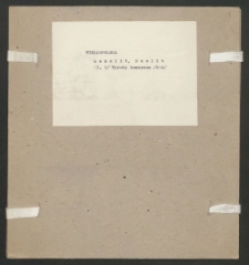 Archiwum prof. J&oacute;zefa Kostrzewskiego. Teka 22, Wielkopolska