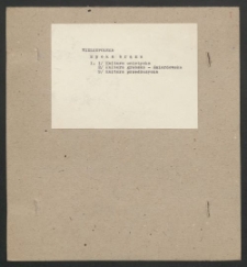 Archiwum prof. J&oacute;zefa Kostrzewskiego. Teka 23, Wielkopolska