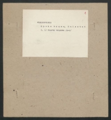 Archiwum prof. J&oacute;zefa Kostrzewskiego. Teka 24, Wielkopolska