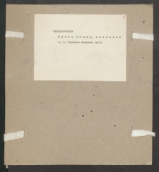 Archiwum prof. J&oacute;zefa Kostrzewskiego. Teka 26, Wielkopolska