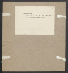 Archiwum prof. Józefa Kostrzewskiego. Teka 27, Wielkopolska