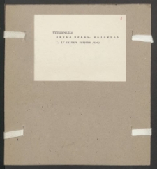 Archiwum prof. Józefa Kostrzewskiego. Teka 28, Wielkopolska