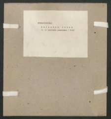 Archiwum prof. Józefa Kostrzewskiego. Teka 32, Wielkopolska