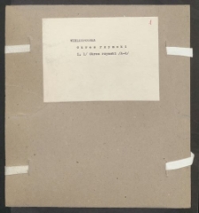 Archiwum prof. Józefa Kostrzewskiego. Teka 34, Wielkopolska