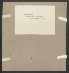 Archiwum prof. J&oacute;zefa Kostrzewskiego. Teka 35, Wielkopolska