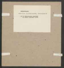 Archiwum prof. J&oacute;zefa Kostrzewskiego. Teka 36, Wielkopolska