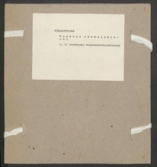 Archiwum prof. J&oacute;zefa Kostrzewskiego. Teka 38, Wielkopolska