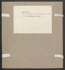 Archiwum prof. Józefa Kostrzewskiego. Teka 40, Wielkopolska