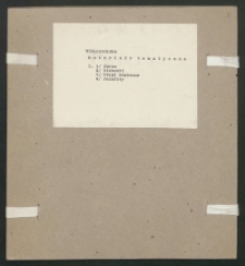 Archiwum prof. J&oacute;zefa Kostrzewskiego. Teka 41, Wielkopolska