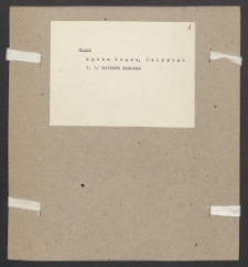 Archiwum prof. Józefa Kostrzewskiego. Teka 44, Śląsk