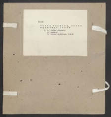 Archiwum prof. J&oacute;zefa Kostrzewskiego. Teka 47, Śląsk