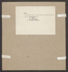 Archiwum prof. J&oacute;zefa Kostrzewskiego. Teka 48, Śląsk