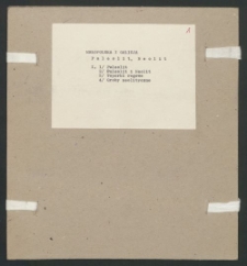 Archiwum prof. J&oacute;zefa Kostrzewskiego. Teka 49, Małopolska i Galicja