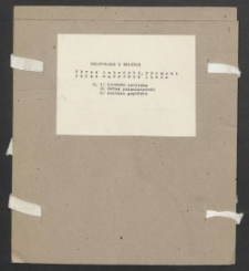 Archiwum prof. Józefa Kostrzewskiego. Teka 53, Małopolska i Galicja