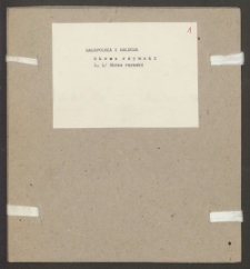 Archiwum prof. Józefa Kostrzewskiego. Teka 55, Małopolska i Galicja