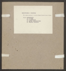 Archiwum prof. J&oacute;zefa Kostrzewskiego. Teka 56, Małopolska i Galicja