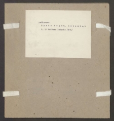 Archiwum prof. J&oacute;zefa Kostrzewskiego. Teka 66, Kr&oacute;lestwo Kongresowe