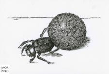 Gazeta : IX Otwarty Międzynarodowy Konkurs na Rysunek Satyryczny / Josef Stroinsk&yacute;