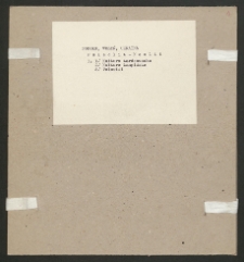 Archiwum prof. J&oacute;zefa Kostrzewskiego. Teka 76, Podole, Wołyń, Ukraina