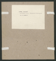 Archiwum prof. J&oacute;zefa Kostrzewskiego. Teka 80, Litwa, Białoruś