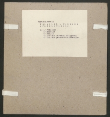 Archiwum prof. J&oacute;zefa Kostrzewskiego. Teka 85, Czechosłowacja