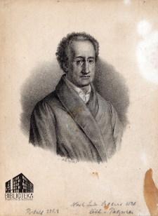 [Portret Johanna Wolfganga Goethego]