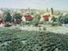 Zielona Góra; Widok ogólny - na pierwszym planie winnica