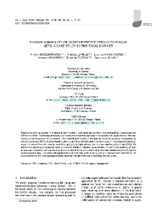 On explainability of cluster prototypes with rough sets: A case study in the FMCG market