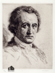 [Portret Johanna Wolfanga Goethego]