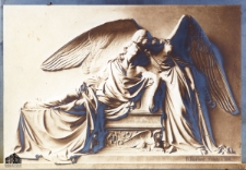 [Fotografia płaskorzeźby]