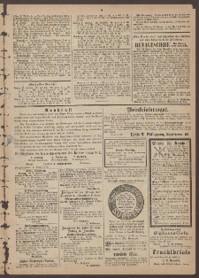 Sorauer Wochenblatt, No. 13. (30. Januar 1875)