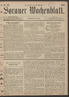 Sorauer Wochenblatt, No. 137. (20. November 1875)