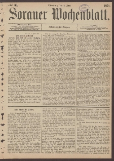 Sorauer Wochenblatt, No. 66. (4. Juni 1878)
