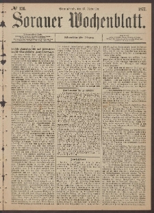 Sorauer Wochenblatt, No. 136. (17. November 1877)