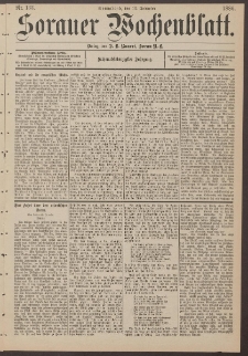 Sorauer Wochenblatt, Nr. 133. (13. November 1886)