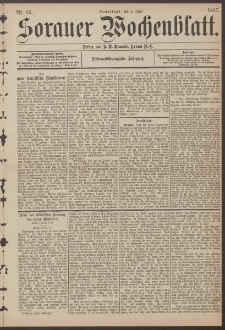 Sorauer Wochenblatt, Nr. 65. (4. Juni 1887)