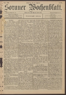 Sorauer Wochenblatt, Nr. 294. (18. Dezember 1894)