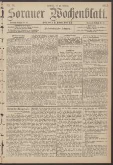 Sorauer Wochenblatt, Nr. 39. (15. Februar 1895)