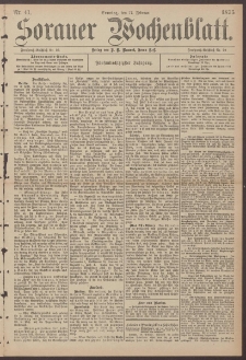 Sorauer Wochenblatt, Nr. 41. (17. Februar 1895)