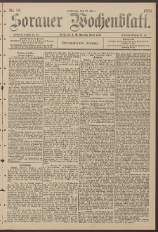 Sorauer Wochenblatt, Nr. 99. (28. April 1895)