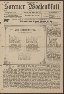 Sorauer Wochenblatt, Nr. 128. (2. Juni 1895)