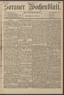 Sorauer Wochenblatt, Nr. 132. (9. Juni 1895)