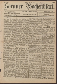 Sorauer Wochenblatt, Nr. 133. (11. Juni 1895)