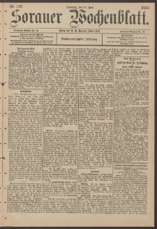 Sorauer Wochenblatt, Nr. 138. (16. Juni 1895)