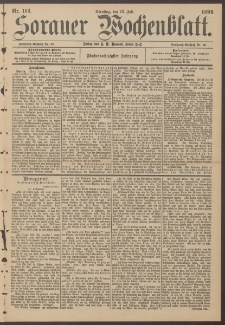 Sorauer Wochenblatt, Nr. 163. (16. Juli 1895)