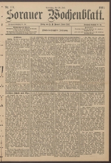 Sorauer Wochenblatt, Nr. 174. (28. Juli 1895)